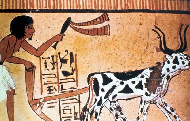 Факты о Древнем Египте, которые удивят вас не меньше снега в июле
