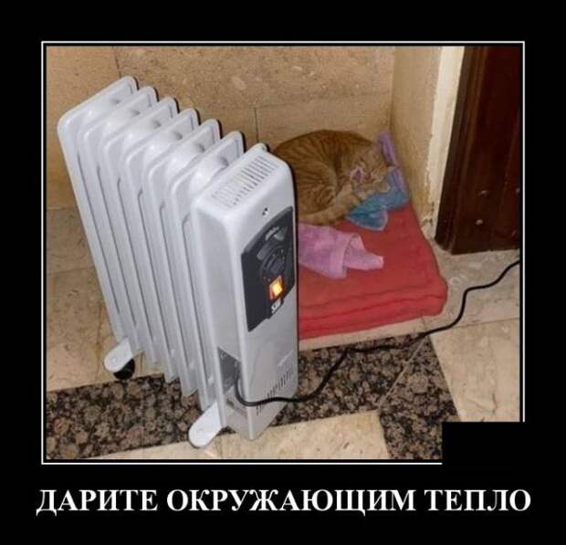 www.vsyako.net