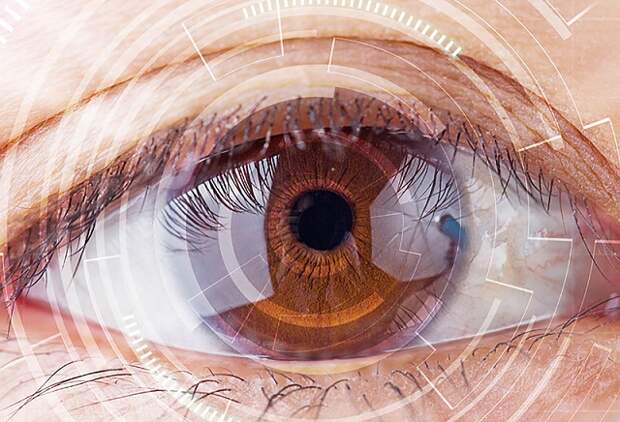 Организм человека может регенерировать сетчатку глаза