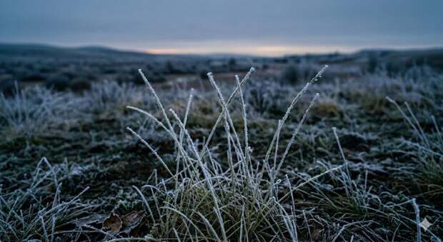 Астраханцам советуют подготовиться к ночным заморозкам и шквалистому ветру