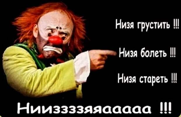 Кактус расцвёл...