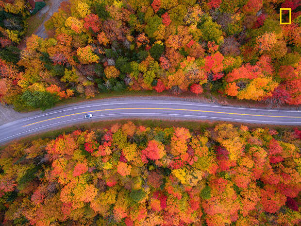 Осенние краски Нью-Гэмпшира с высоты