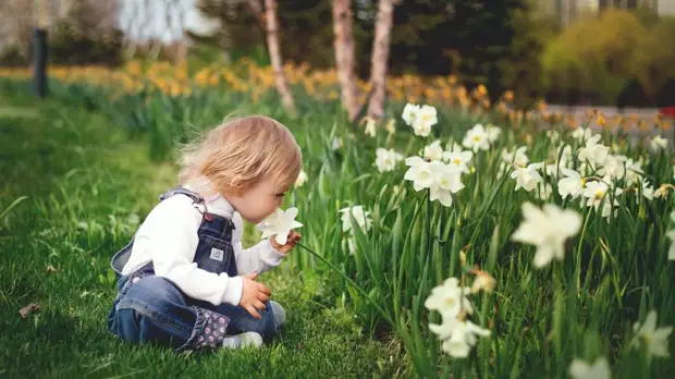 Как нежны виолы лепестки: выбираем садовые цветы по последним модным тенденциям