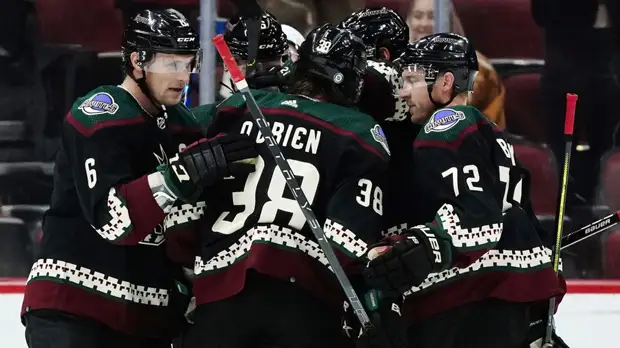 Любушкин и Провольнев помогли «Аризоне» переиграть «Анахайм»