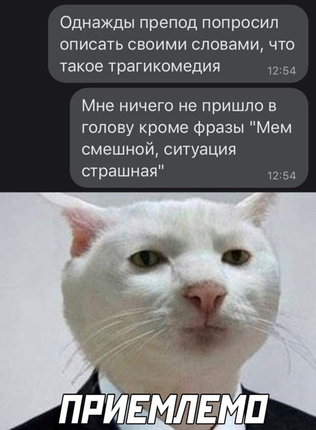Смешные картинки вечер 25 февраля 2021