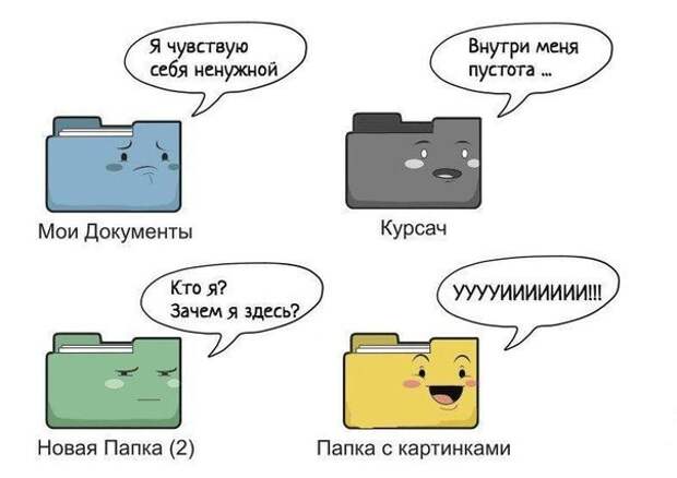 NK5CNn6UsFY