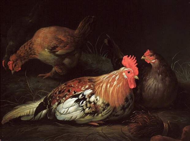 Петух и курицы -- Музей Франса Халса Харлем