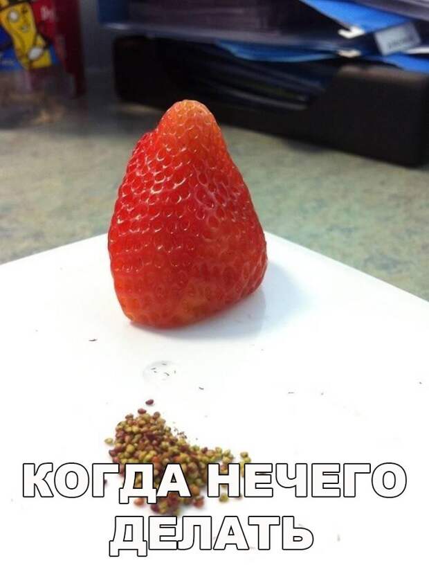 Веселые картинки с надписями для настроения (11 фото) Веселые картинки с надписями для настроения (11 фото)
