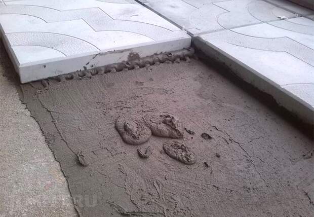 Укладка тротуарной плитки на клей