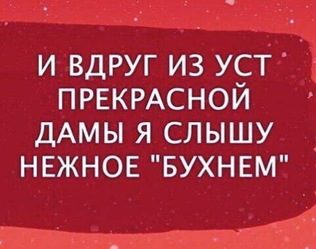 Русская водка, что ты натворила! водка, интересное, история