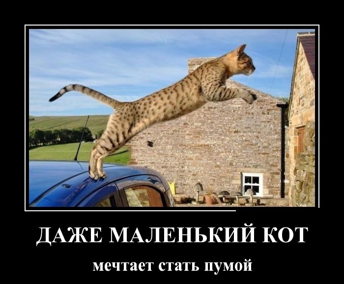 Демотиваторы
