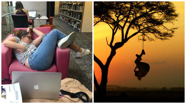 Девушка уснула в библиотеке: битва фотошоперов фотожабы, фотошоперы