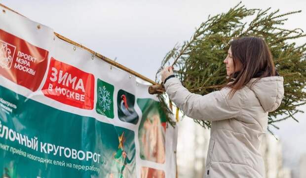 Акция «Елочный круговорот» продлится до 1 марта
