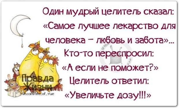 Любовь лучшее лекарство. Самое лучшее лекарство для человека любовь и забота. Самое лучшее лекарство для человека. Смешные высказывания о заботе. Цитата лучшее лекарство любовь и забота.