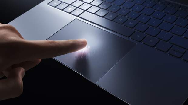 Фото: пресс-служба