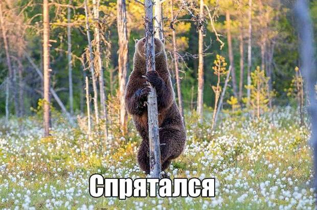 Прикольные картинки