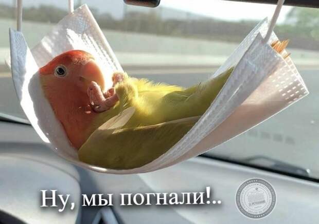 Ну, мы погнали