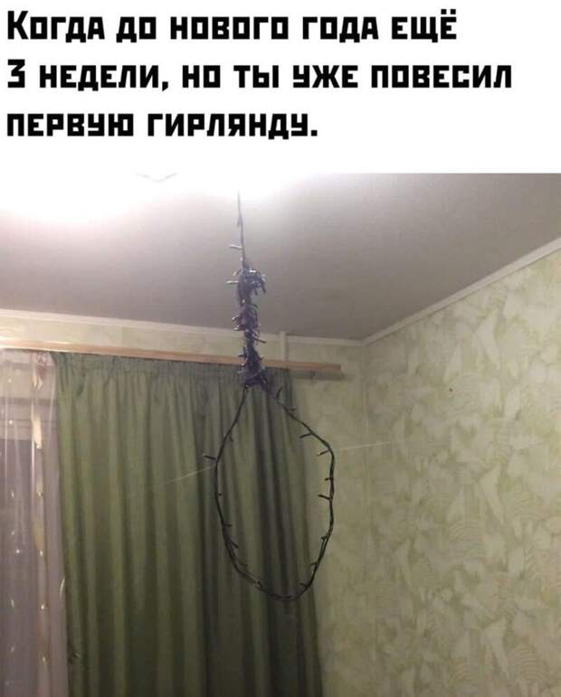 Первая гирлянда) Первая гирлянда)
