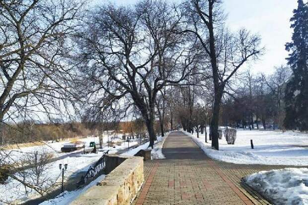 Тамбовчанам обещают до +11 градусов в выходные