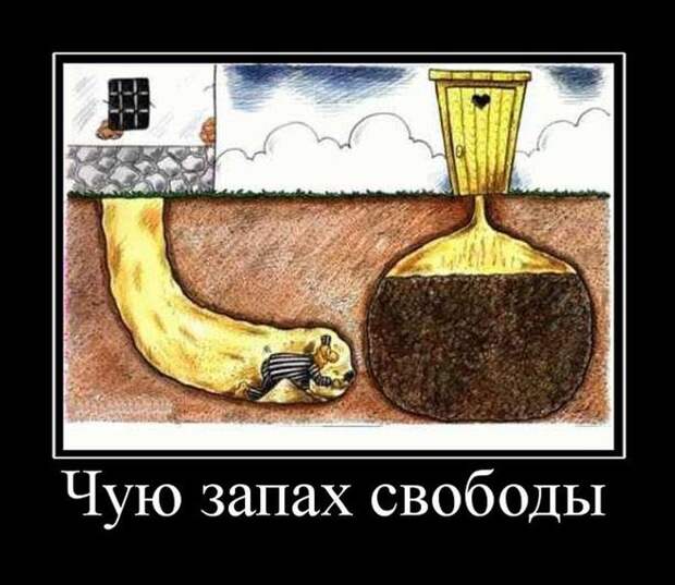 Демотиваторы (30 фото)