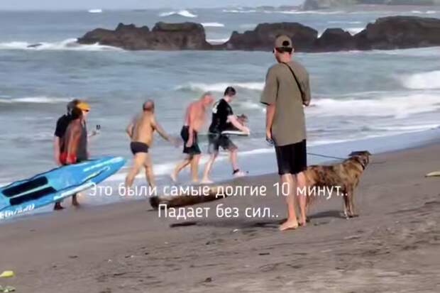 Baza: турист из России спас собаку из бушующего океана на Бали