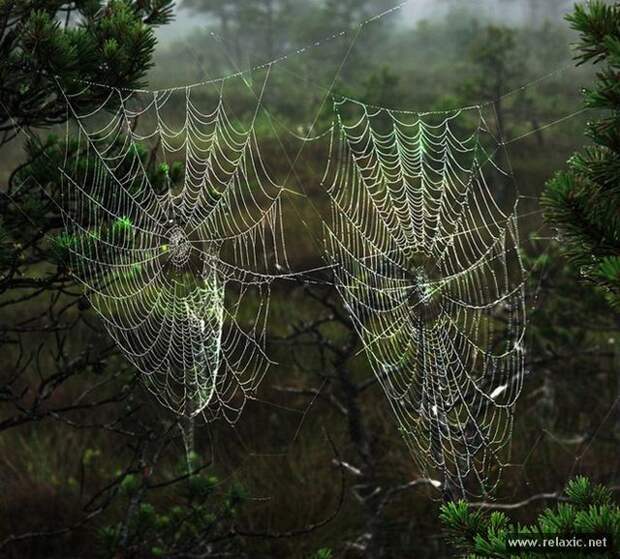 Andris_Eglitis_021 Andris_Eglitis_021