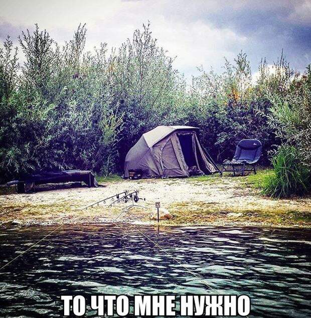 Прикольные картинки. Дневной выпуск (56 фото) Прикольные картинки. Дневной выпуск (56 фото)
