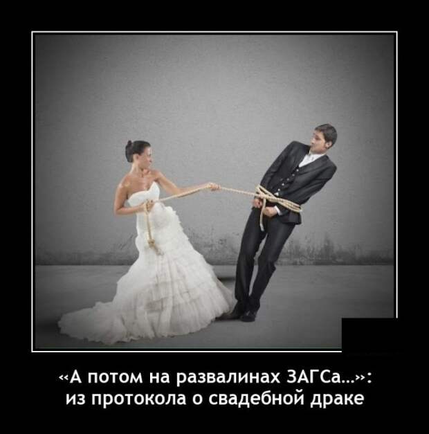 Демотиваторы 30 декабря 2021 года
