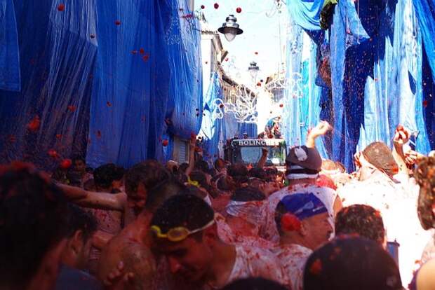 Праздник Tomatina - помидорное безумие (12 фото) Праздник Tomatina - помидорное безумие (12 фото)