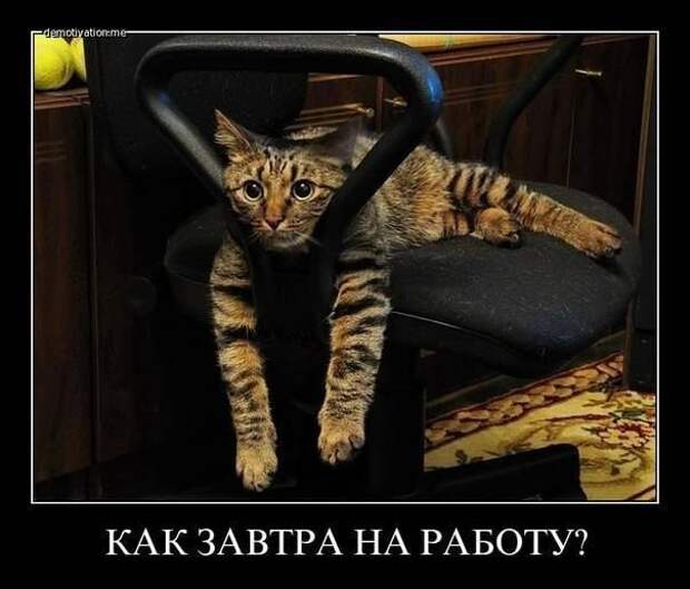 Всяко - разно 7  )))