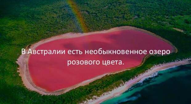 Интересные факты для любознательных (30 картинок)