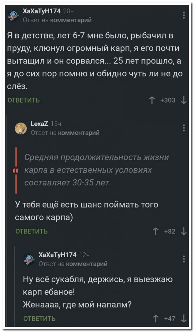 setey-socialnyh-kommentarii-kartinki-smeshnye-kartinki-fotoprikoly