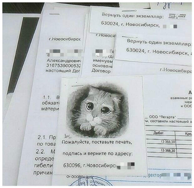 Ну кто откажется вернуть эти документы хозяину? руки из нужного места, смекалка, юмор