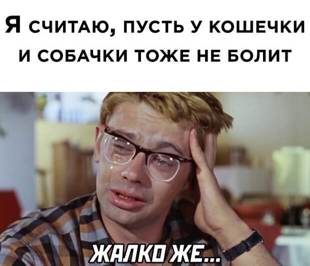Смешные картинки 23 июня 2021