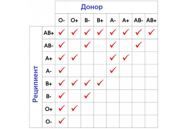 Как узнать свою группу крови и для чего это необходимо? Отвечает врач