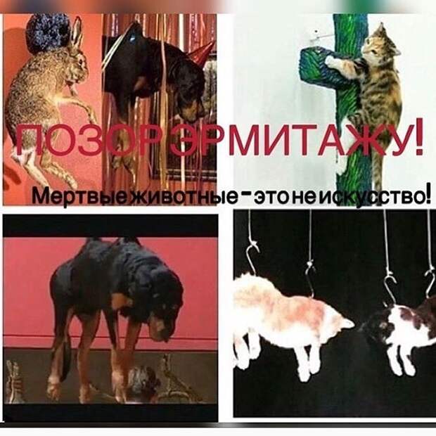 Ян Фабр в Эрмитаже