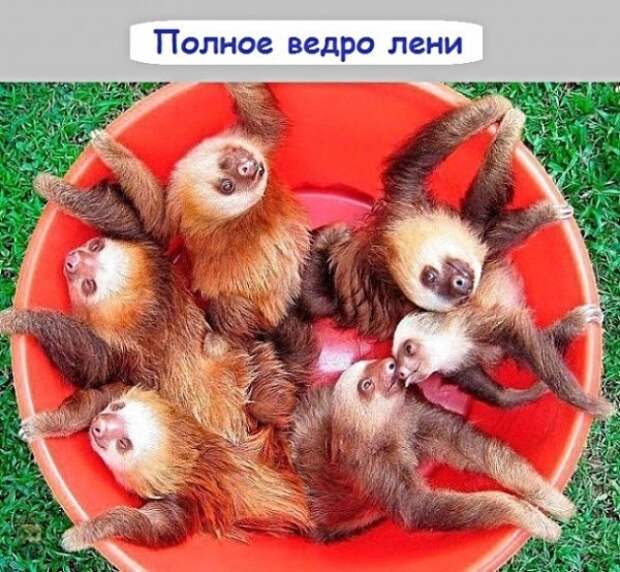 Картинки с надписями, истории и анекдоты