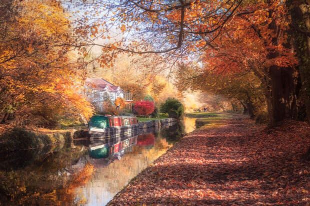Autumn on the Canal by Brett Gasser on 500px.com