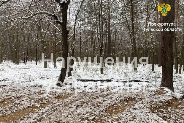 В Плавском районе из леса по требованию прокуратуры вывезена заготовленная древесина