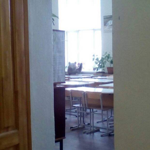 И пусть другие страны нам завидуют! И пусть другие страны нам завидуют! зима, прикол, россия, ситуация, фото, юмор
