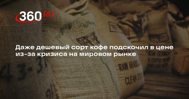 Эксперт РУДН Тинькова: робуста быстро дорожает из-за засухи в Вьетнаме