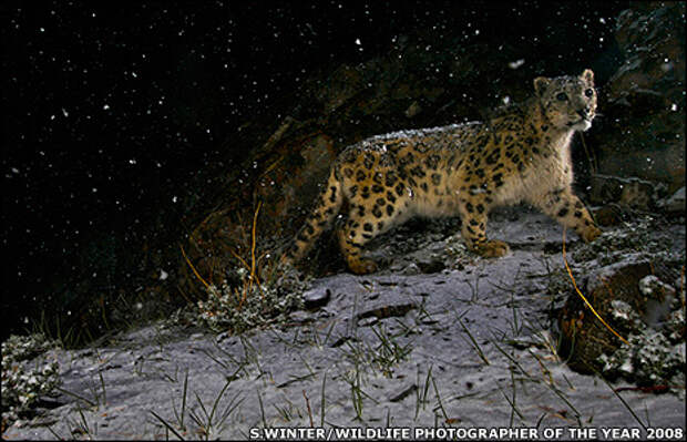 Просто Фото