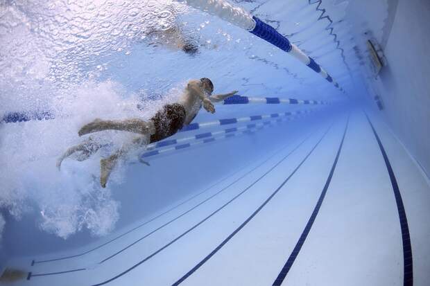 Окружные соревнования по плаванию пройдут в бассейне на Трофимова