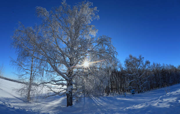Бабьи взбрыксы и запрет на стрижку: что нельзя делать в Кириллов день 27 февраля