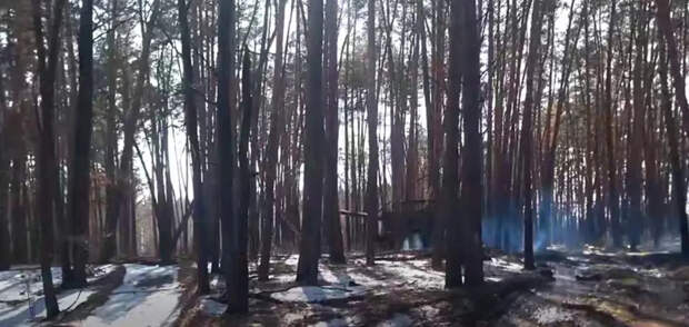 ВС РФ заняли новые территории Сумской области, срезая Бачевский выступ