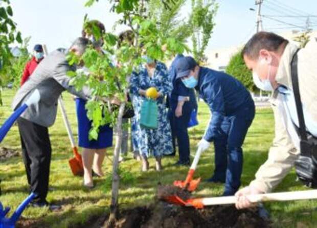 Мурат Айтенов вместе с представителями разных этносов посадил деревья