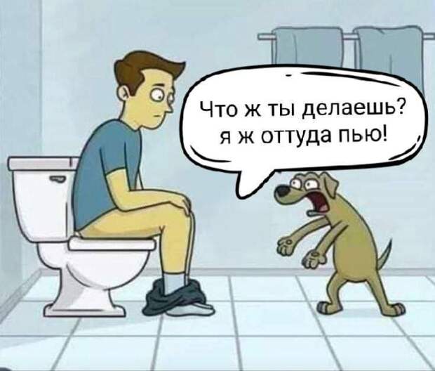 @psychology_funny  #юмор #смешное #приколы