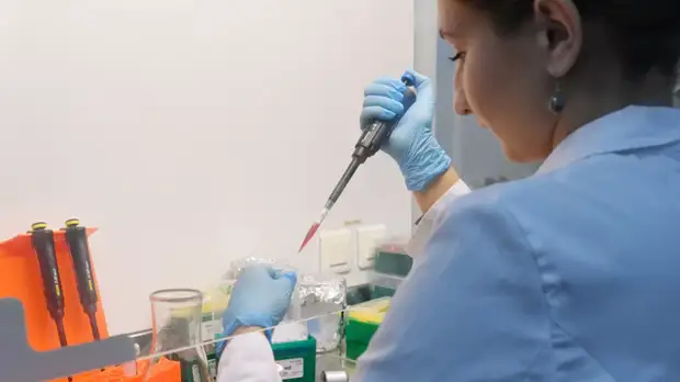 В Карелии прокомментировали ситуацию с COVID-19