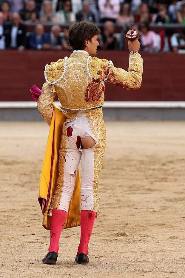 В Мадриде бык отправил матадора в больницу бык, в мире, животные, коррида, люди, мадрид, матадор
