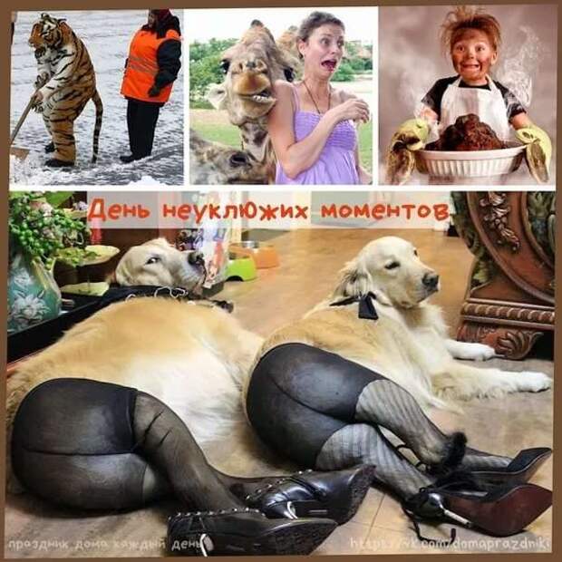 Тот самый неловкий момент. Чертовская Подборка chert-poberi-moment-chert-poberi-moment-01320913072020-10 картинка chert-poberi-moment-01320913072020-10